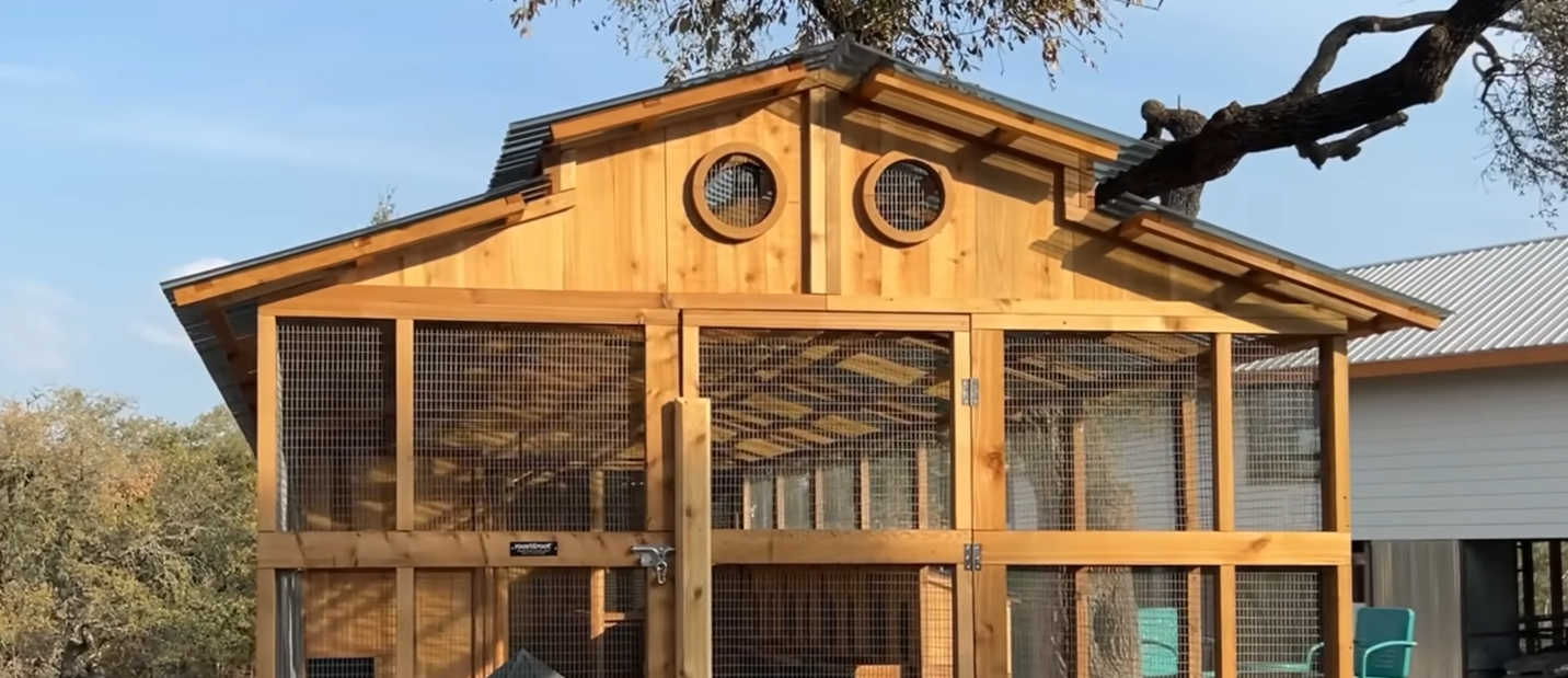 Chicken Coop Set-Up Tips for Midwest Yards