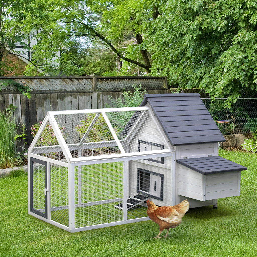 Chicken Coop Kit 65" with Nesting Box, Ramp, and Run, White Fir Wood, 2 Chickens Max